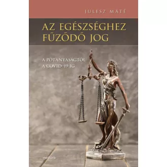   Az egészséghez fűződő jog - A pótanyaságtól a COVID-19-ig - Julesz Máté