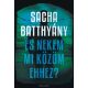 És nekem mi közöm ehhez? (Sacha Batthyány)
