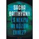 És nekem mi közöm ehhez? (Sacha Batthyány)