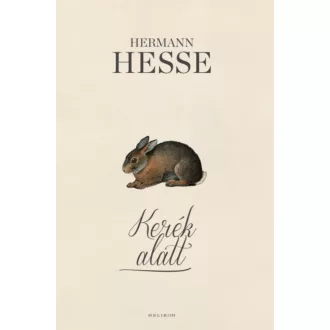 Kerék alatt - Hermann Hesse