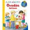 Óvodás lettem /Mit? Miért? Hogyan? - Scolar mini 30. (Doris Rübel)