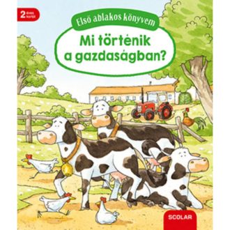 Mi történik a gazdaságban? /Első ablakos könyvem (Susanne Gernhauser)