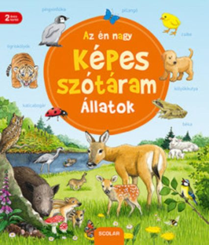 Az én nagy képes szótáram - Állatok (Susanne Gernhauser)