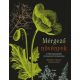 Mérgező növények - A Föld legmérgezőbb növényeinek természetrajza (Elizabeth A. Dauncey)