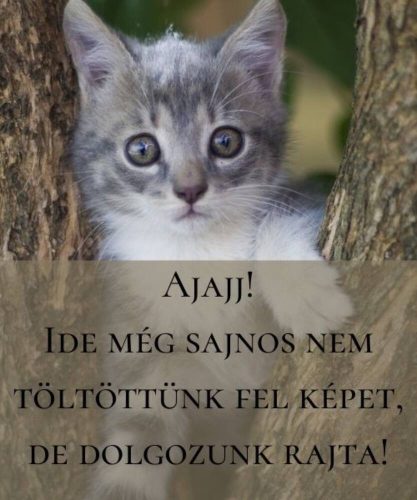 Az én Bambim