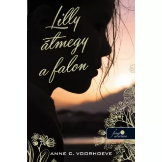 Lilly átmegy a falon (Anne C. Voorhoeve)