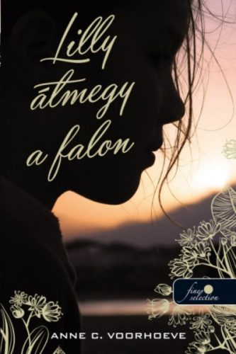 Lilly átmegy a falon (Anne C. Voorhoeve)