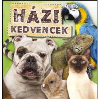 HÁZI KEDVENCEK