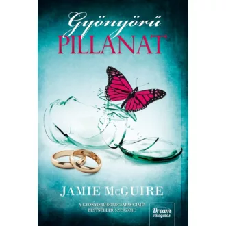 Gyönyörű pillanat (Jamie McGuire)