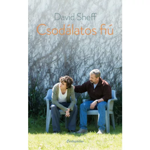 Csodálatos fiú - David Sheff