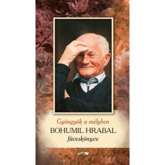 Gyöngyök a mélyben /Bohumil Hrabal föveskönyve (Bohumil Hrabal)