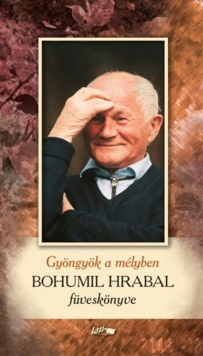 Gyöngyök a mélyben /Bohumil Hrabal föveskönyve (Bohumil Hrabal)