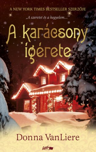 A karácsony ígérete - Donna VanLiere