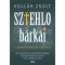 Sztehlo bárkái - Kollár Zsolt