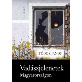 Vadászjelenetek Magyarországon (Tódor János)