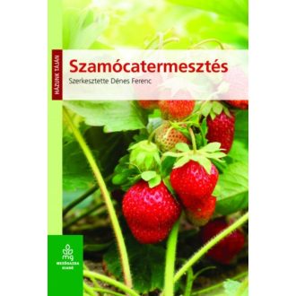 Szamócatermesztés /Házunk táján (Dénes Ferenc)