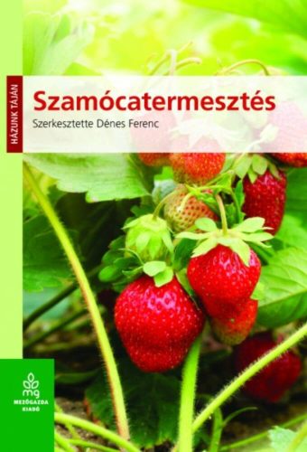 Szamócatermesztés /Házunk táján (Dénes Ferenc)