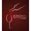 Borkönyv - A szőlőtől a pohárig 
