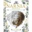 Narnia krónikái színezőkönyv (C.S. Lewis)