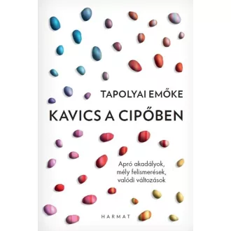 Kavics a cipőben - Tapolyai Emőke