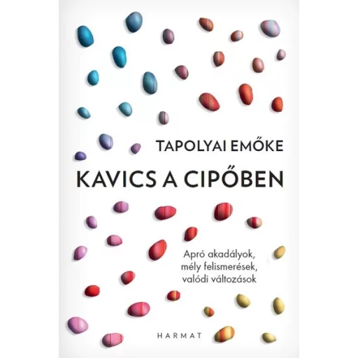 Kavics a cipőben - Tapolyai Emőke