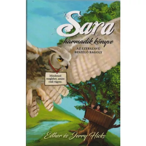 Sara harmadik könyve - Az ezerszavú beszélő bagoly (Esther Hicks)