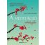 A meditáció művészete - Matthieu Ricard