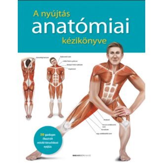 A nyújtás anatómiai kézikönyve - Lachlan McLaine