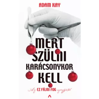 Mert szülni karácsonykor kell - Adam Kay