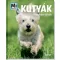 Mi Micsoda – Kutyák - Négylábú hősök (Christine Paxmann)