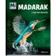 Madarak - Légi akrobaták /Mi Micsoda (Alexandra Werdes)