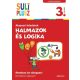 Halmazok és logika - Alapozó feladatok /Suli plusz 3. osztály (logikai feladatok) (Foglalkoztat