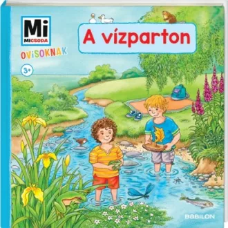 A vízparton - Mi Micsoda Ovisoknak (Sandra Noa)