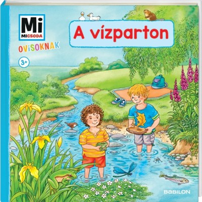 A vízparton - Mi Micsoda Ovisoknak (Sandra Noa)