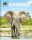 Elefántok - Ormányos óriások /Mi MICSODA (Andrea Weller-Essers)