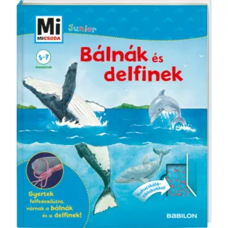 Bálnák és delfinek - Mi MICSODA Junior 25. (Elisabeth Kiefmann)