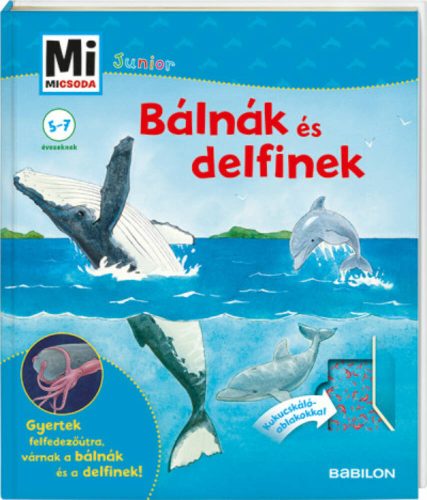 Bálnák és delfinek - Mi MICSODA Junior 25. (Elisabeth Kiefmann)
