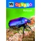 Rovarok - Mi Micsoda Olvasó – Christina Braun