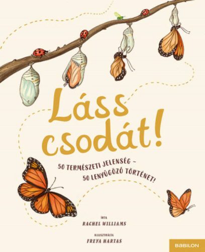 Láss csodát! - Rachel Williams