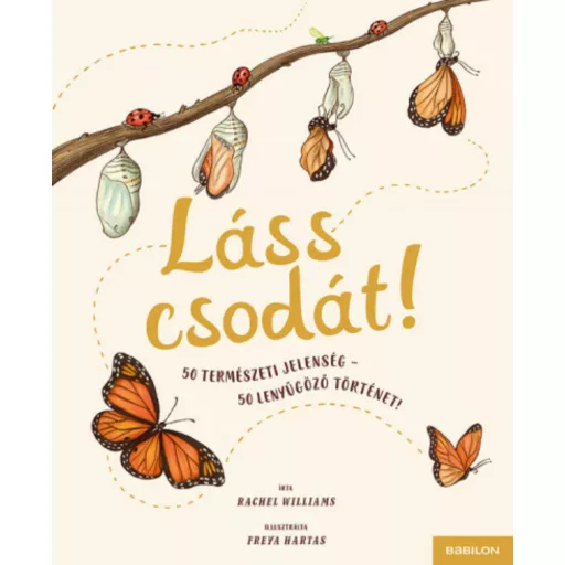 Láss csodát! - Rachel Williams