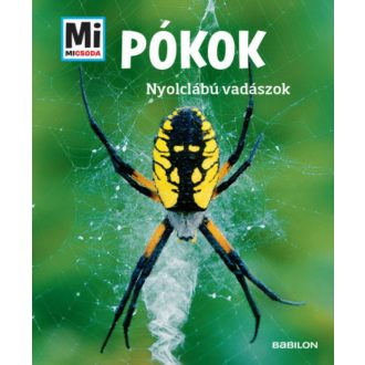 Pókok - Manfred Baur