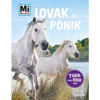   Mi Micsoda - Lovak és pónik - Több mint 650 fotó - Silke Behling
