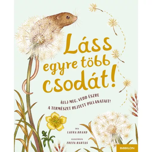 Láss egyre több csodát! - Laura Brand