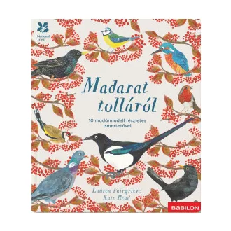   Madarat tolláról - 10 madármodell részletes ismertetővel - Lauren Fairgrieve