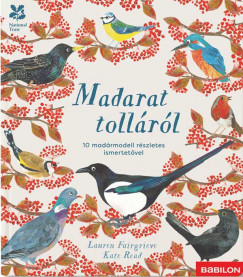 Madarat tolláról - 10 madármodell részletes ismertetővel - Lauren Fairgrieve