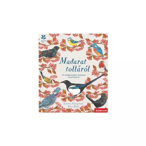 Madarat tolláról - 10 madármodell részletes ismertetővel - Lauren Fairgrieve