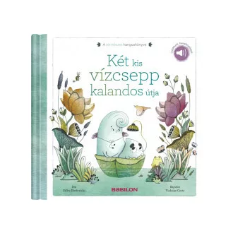 Két kis vízcsepp kalandos útja - Gilles Diederichs