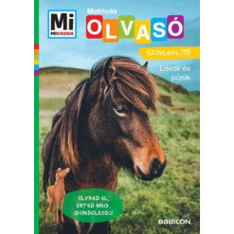   Lovak és pónik - Mi Micsoda Olvasó - Matricás szövegfejtő - Christina Braun