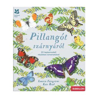 Pillangót szárnyáról - Lauren Fairgrieve