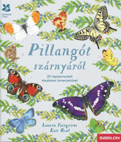 Pillangót szárnyáról - Lauren Fairgrieve